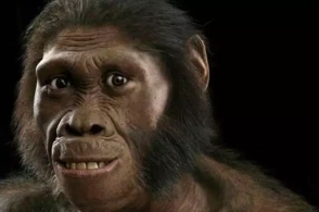 日本内阁粉饰侵略历史遭抨击 被指损害国民知情权-熊猫体育首页(图2) 熊猫体育