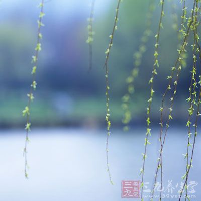 残害花朵!老司机竟向小学生卖日本工口动画-熊猫体育公司(图1) 熊猫体育首页