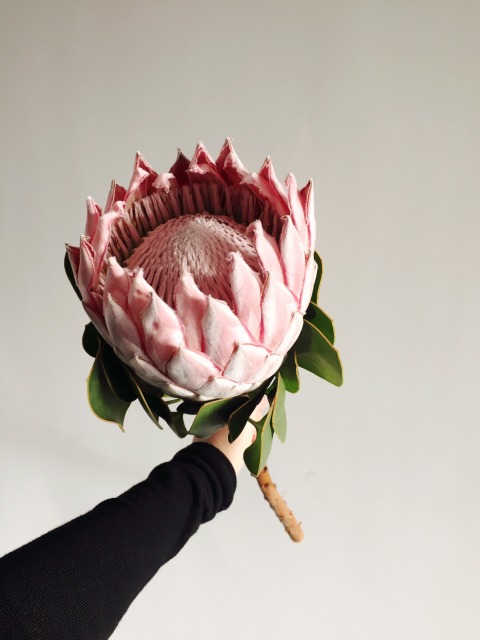 “熊猫体育公司”《机动战士高达:铁血的奥尔芬斯》又遭投诉 未成年人谈生子引家长不满(图4) 熊猫体育公司