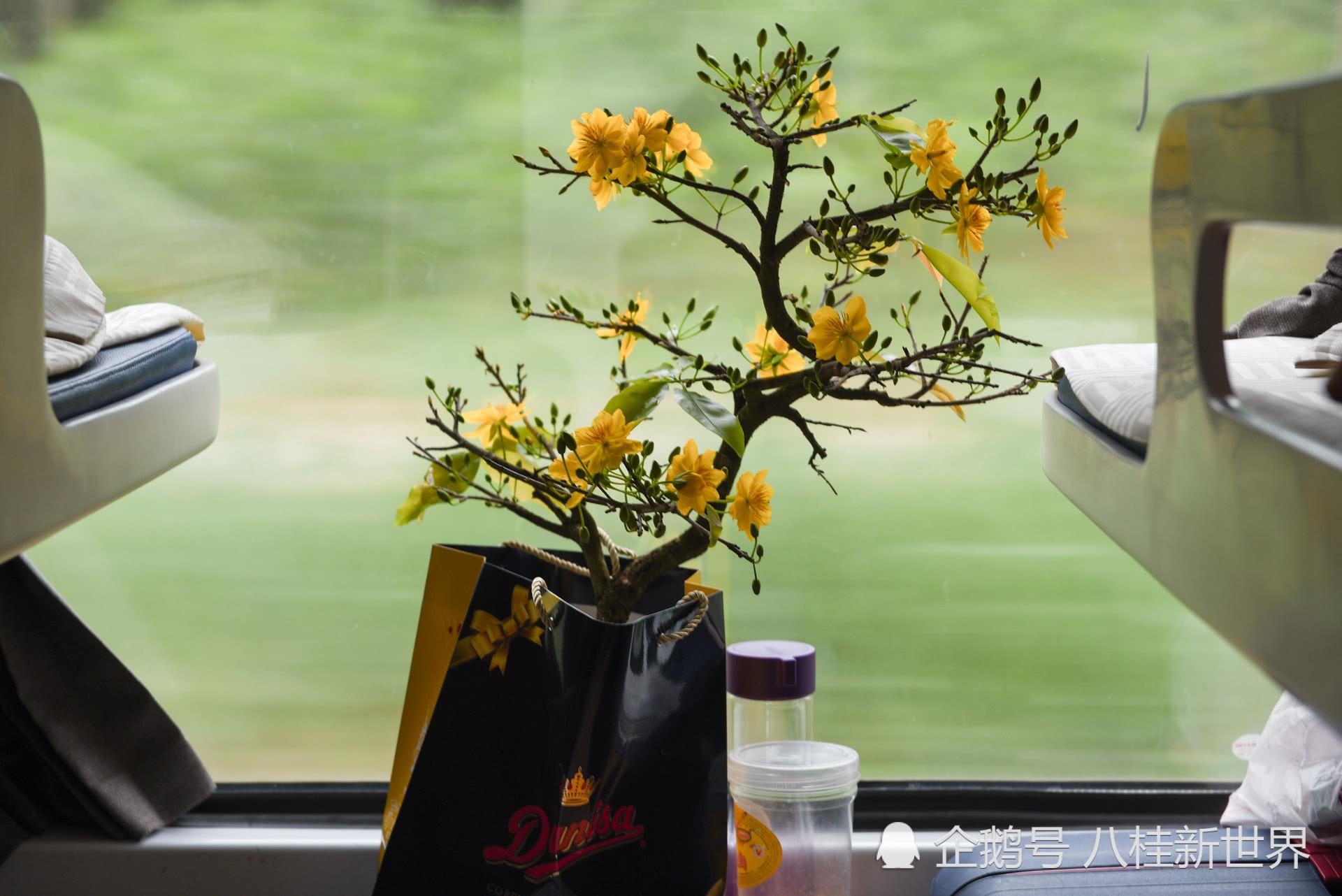 【熊猫体育】如何帮孩子度过初升高适应期 合肥新高一公益专题讲座教你(图2) 熊猫体育首页