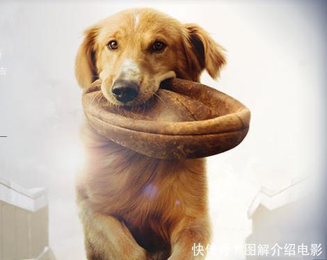 熊猫体育公司