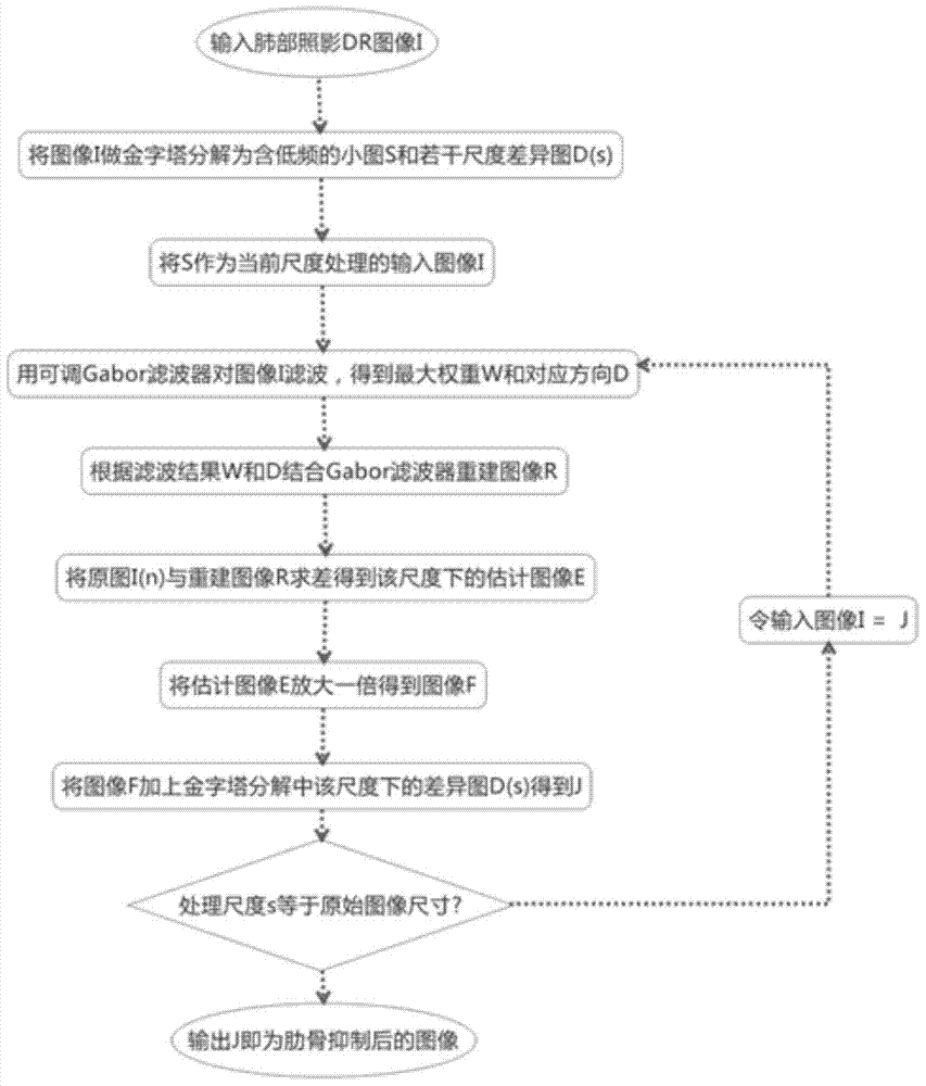 熊猫体育公司